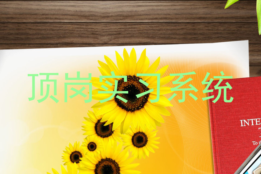 顶岗实习系统