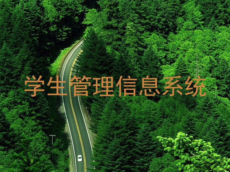 学生管理信息系统