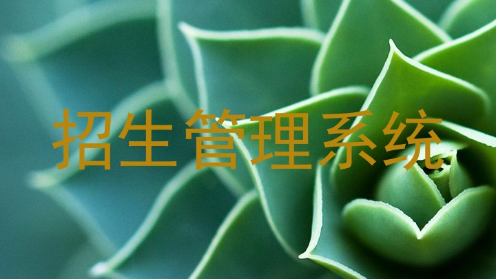 招生管理系统
