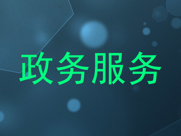 政务服务