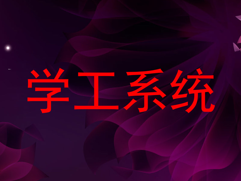 学工系统
