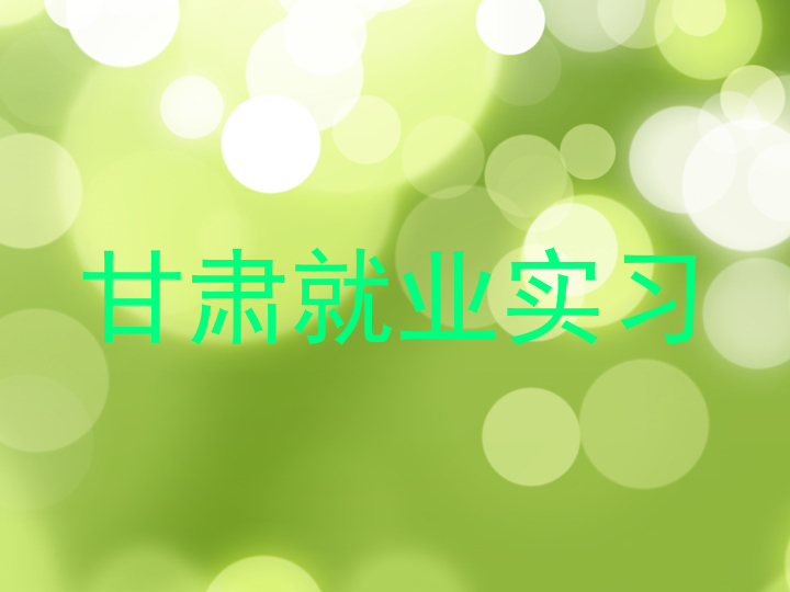 甘肃就业实习