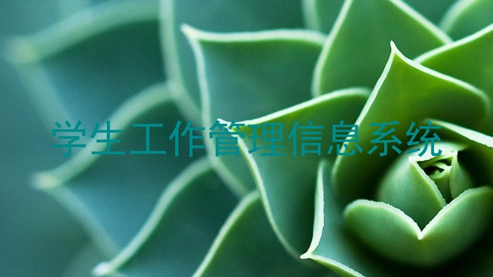 学生工作管理信息系统