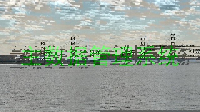 主数据管理系统