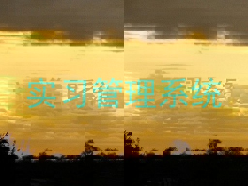 实习管理系统