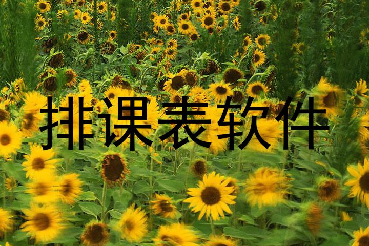排课表软件