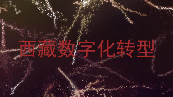 西藏数字化转型
