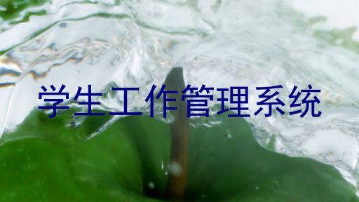 学生工作管理系统