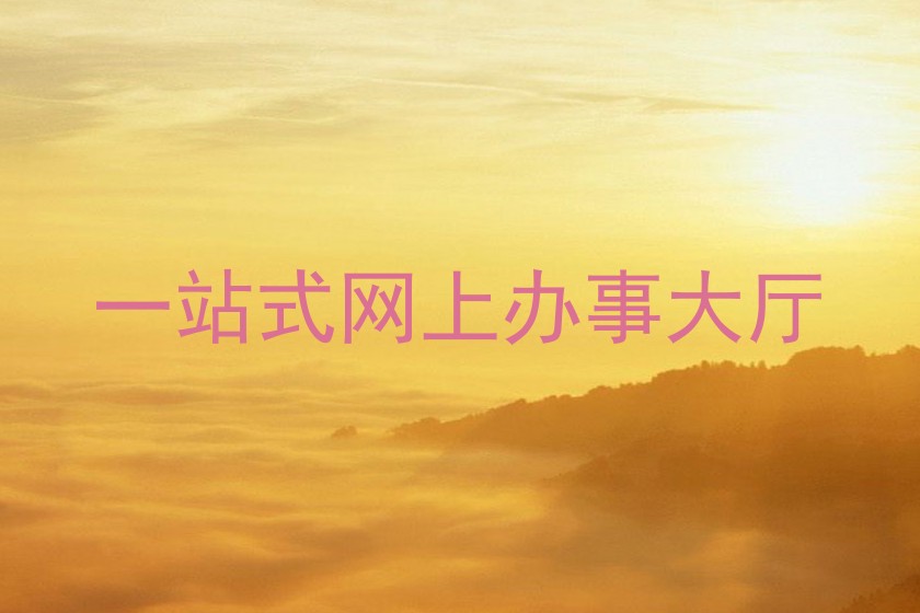 一站式网上办事大厅