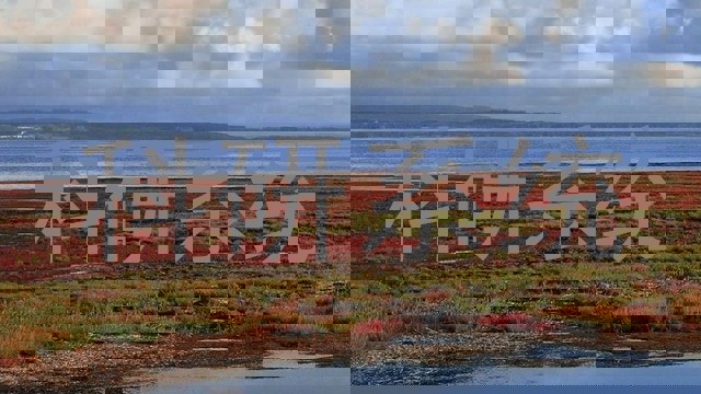 科研系统
