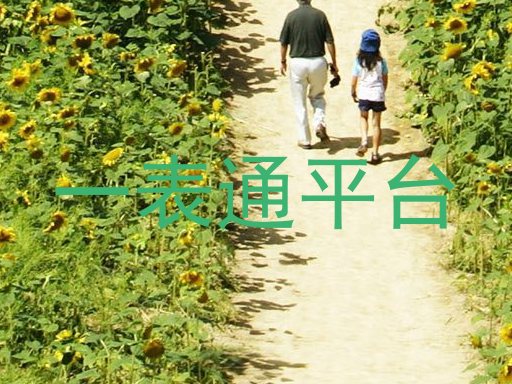 一表通平台