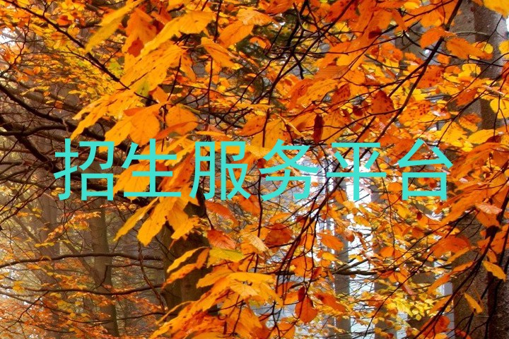 招生服务平台
