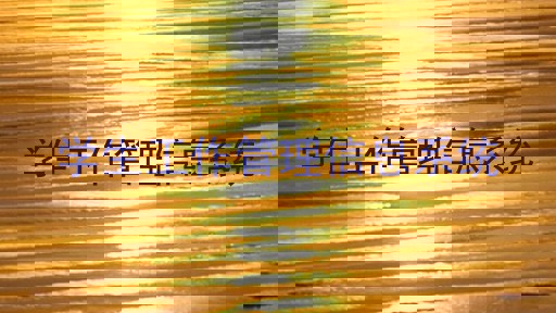 学生工作管理信息系统