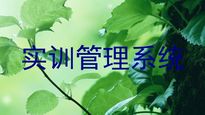 实训管理系统