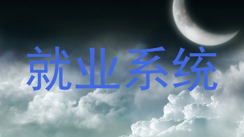 就业系统