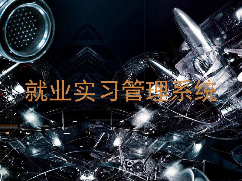 就业实习管理系统