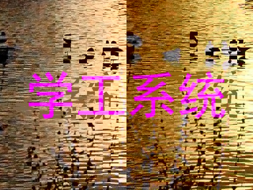 学工系统