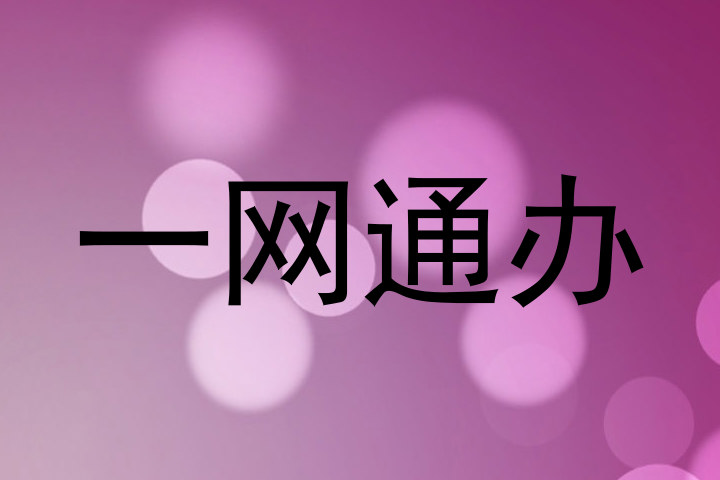 一网通办