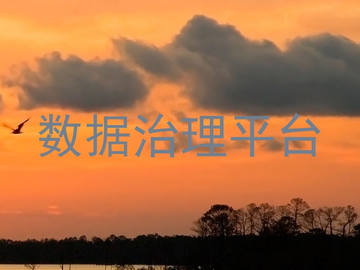 数据治理平台