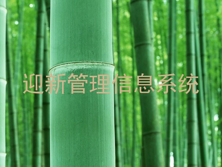 迎新管理信息系统