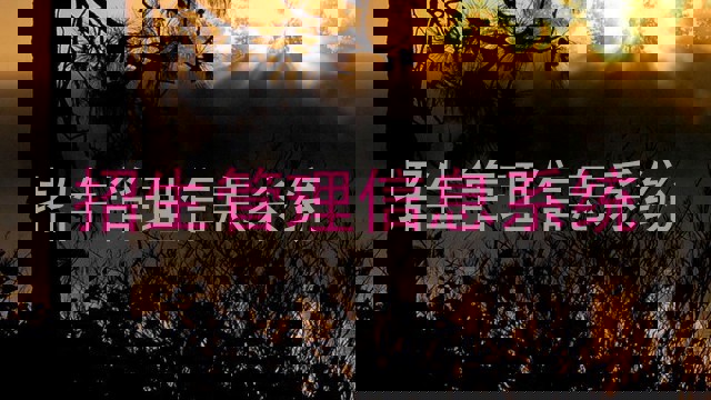 招生管理信息系统