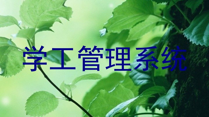 学工管理系统