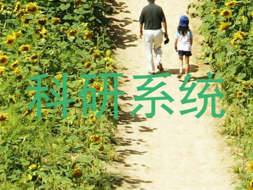 科研系统