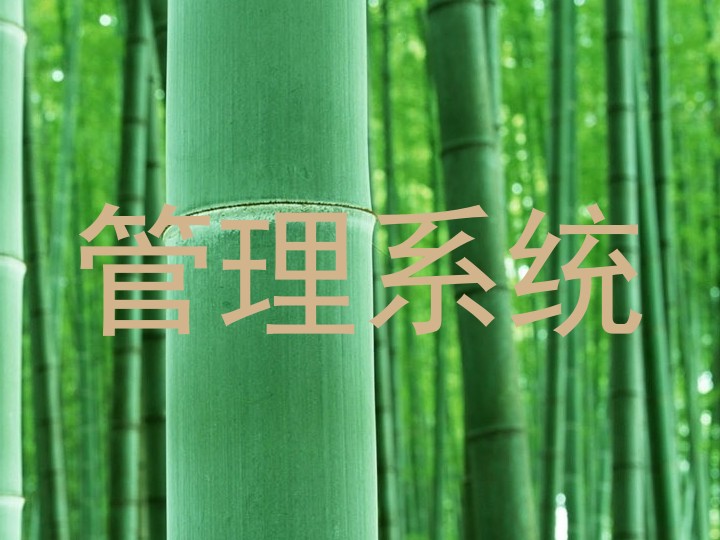 管理系统