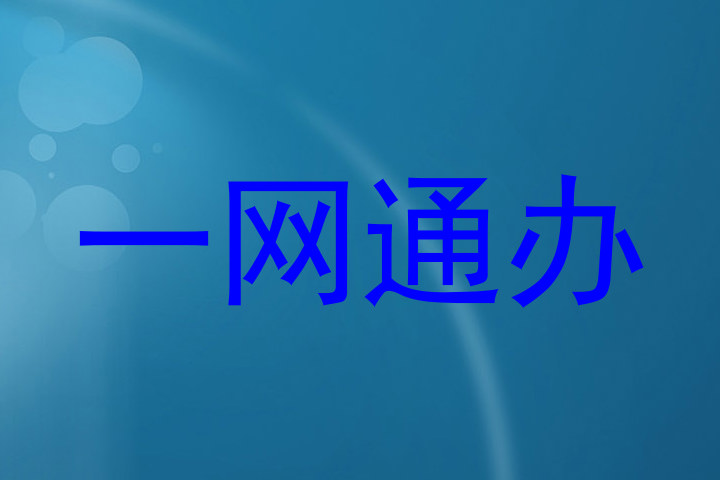 一网通办