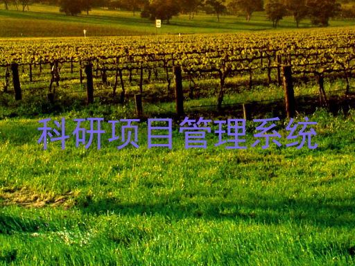 科研项目管理系统