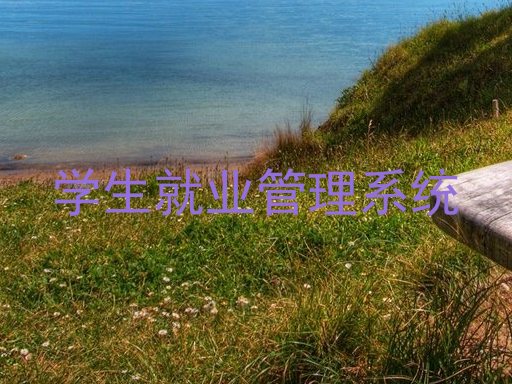 学生就业管理系统