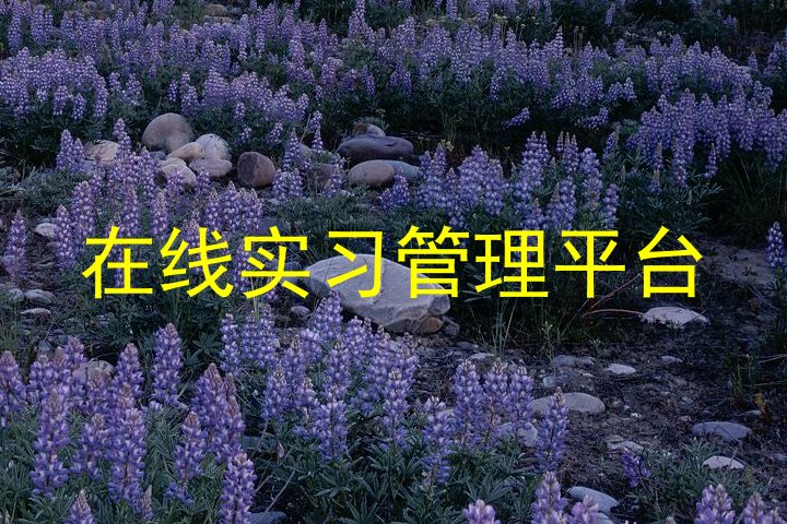 在线实习管理平台