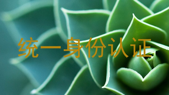 统一身份认证