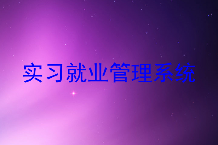 实习就业管理系统