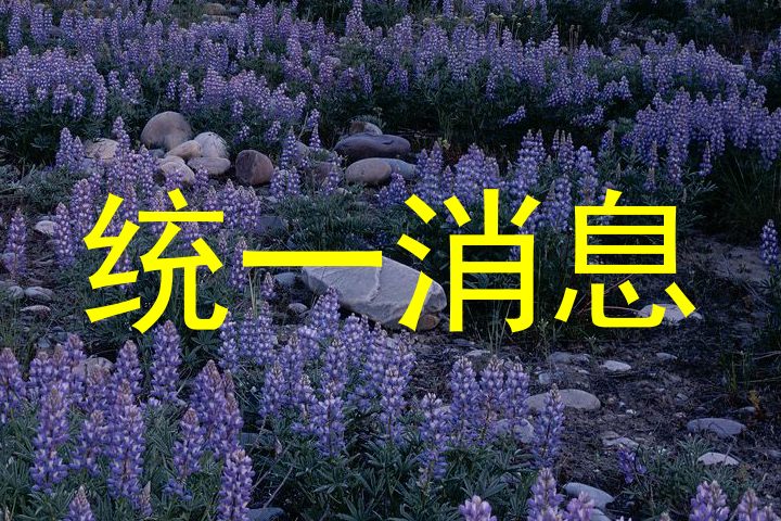 統(tǒng)一消息