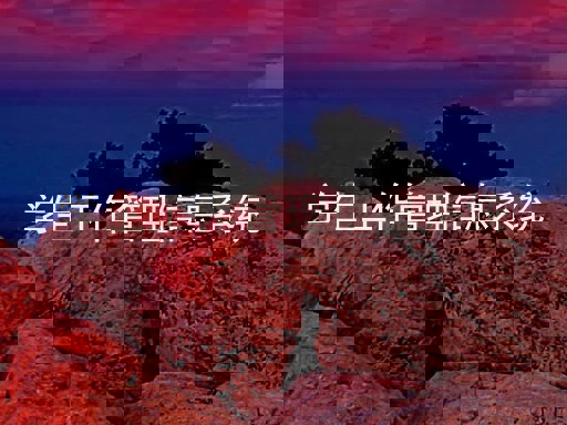 学生工作管理信息系统