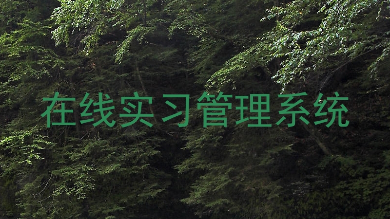 在线实习管理系统