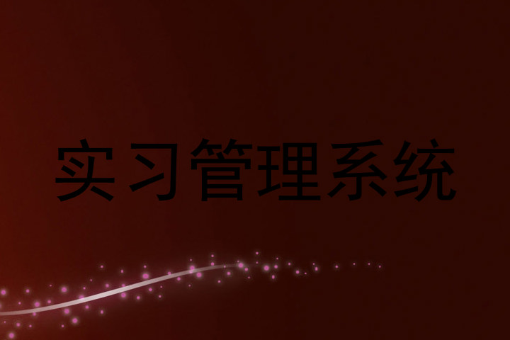 实习管理系统