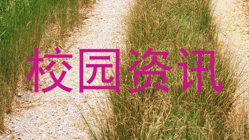 校园资讯