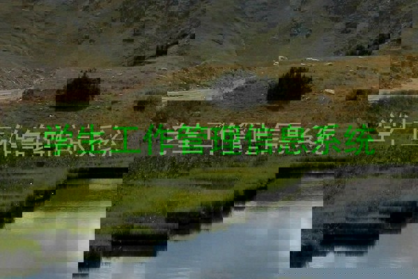 学生工作管理信息系统