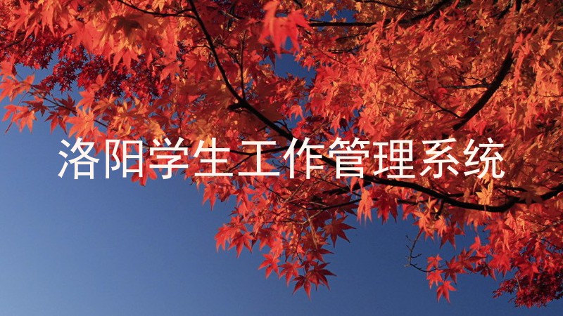 洛阳学生工作管理系统