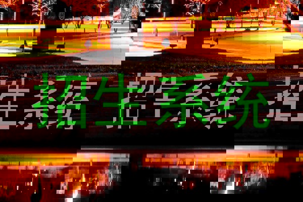 招生系统