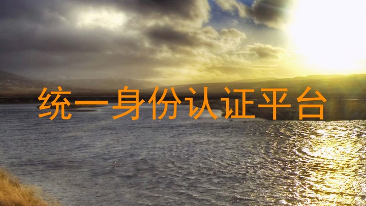 统一身份认证平台