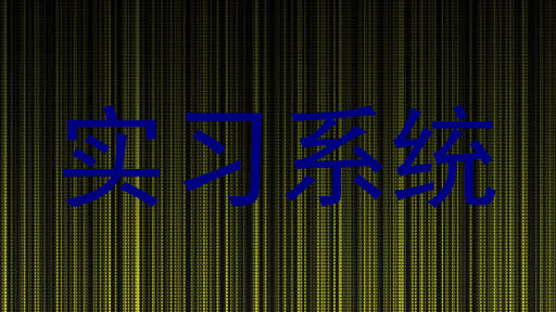 实习系统