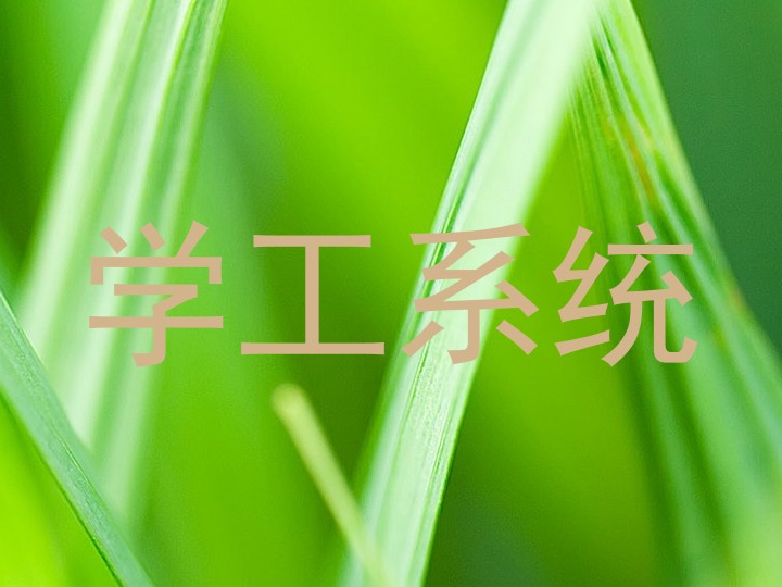 学工系统
