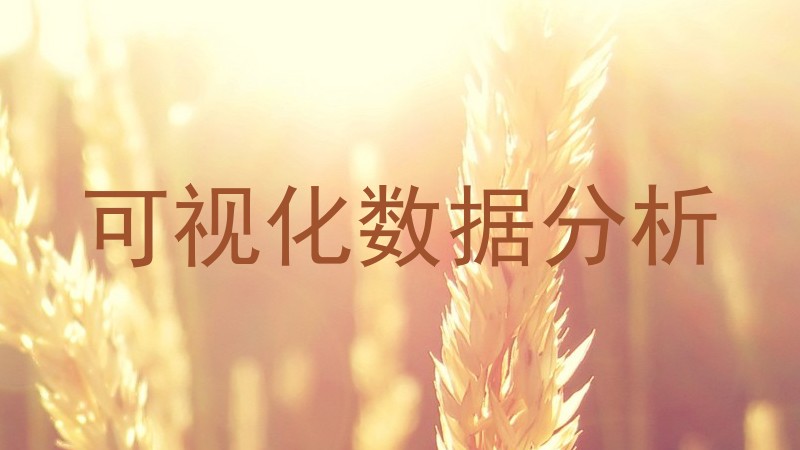 可视化数据分析