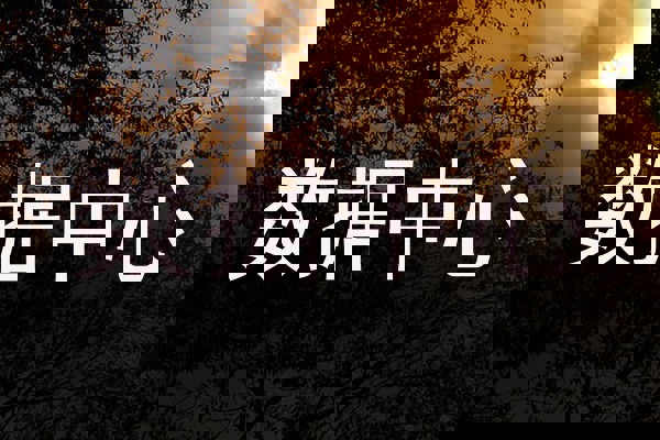 数据中心