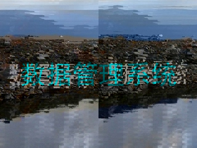 数据管理系统