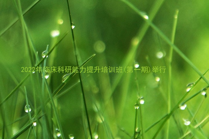 2022年临床科研能力提升培训班(第一期)举行