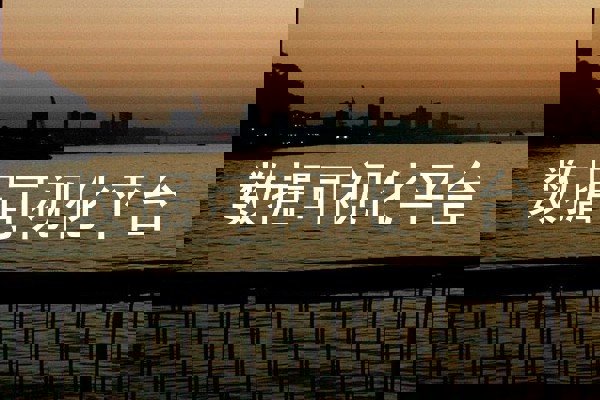 数据可视化平台
